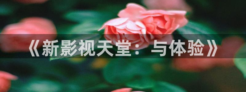 五杀影院官网免费看：《新影视天堂：与体验》