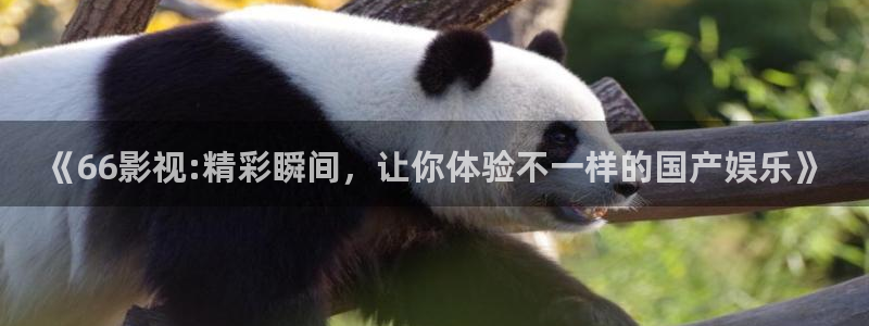 五杀影院在线观看完整版免费：《66影视:精彩瞬间，让你体验不一样的国产娱乐》