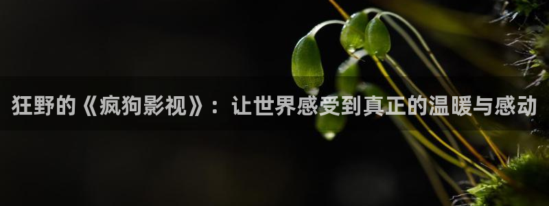 五杀影院官网免费看：狂野的《疯狗影视》：让世界感受到真正的温暖与感动