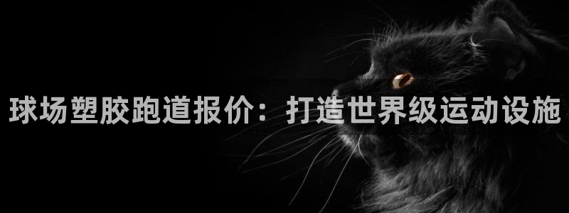 谈球吧体育官方入口：球场塑胶跑道报价：打造世界级运动设施