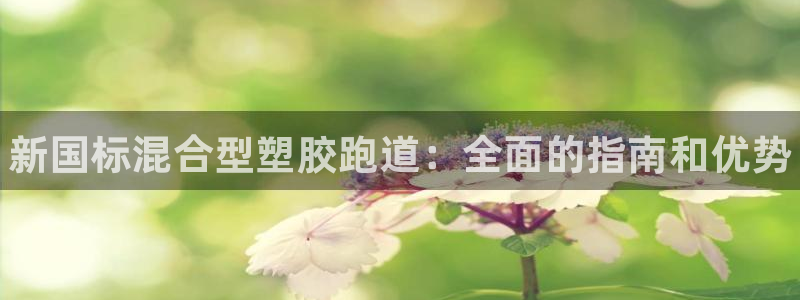 谈球吧买球靠谱吗：新国标混合型塑胶跑道：全面的指南和优势