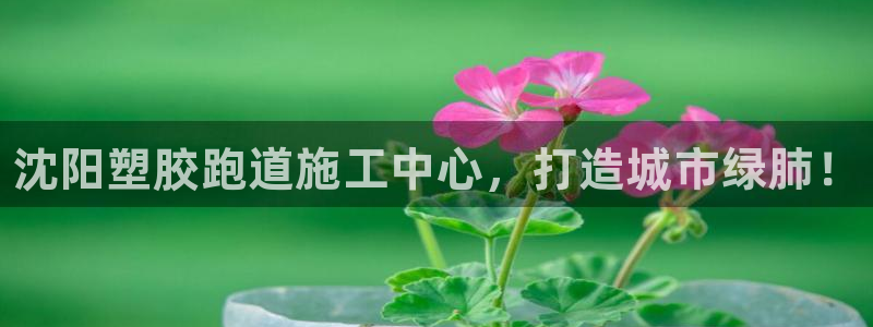 谈球吧app下载安装