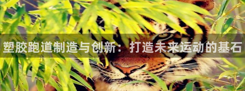 谈球吧体育app下载中心官网苹果